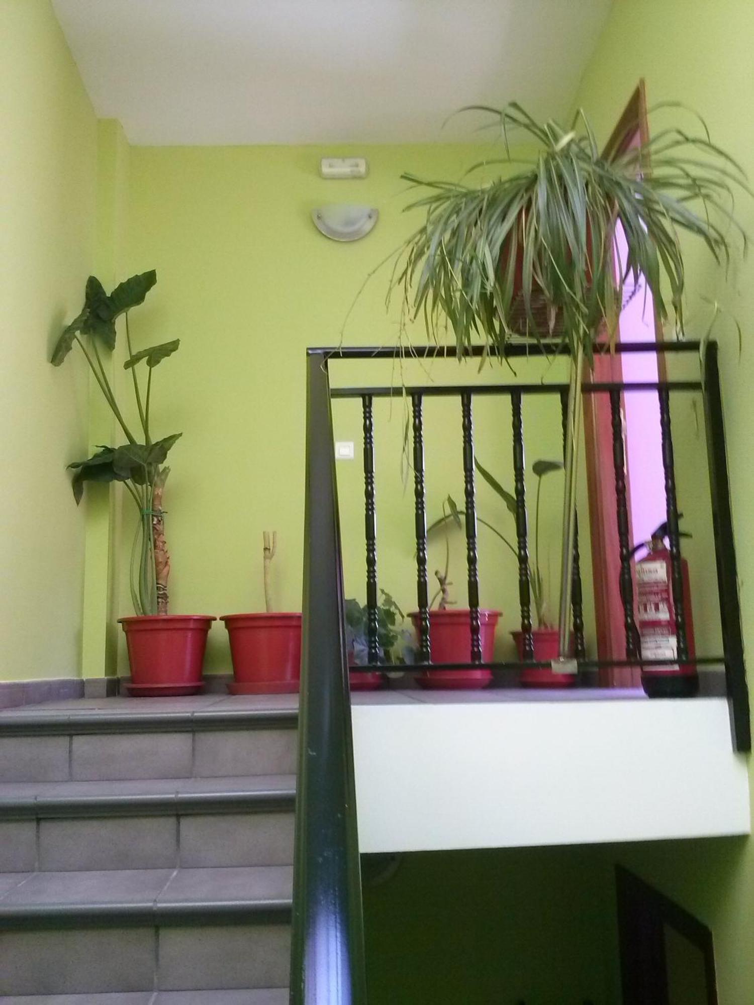 Hostal Ciudad De Нахера Номер фото