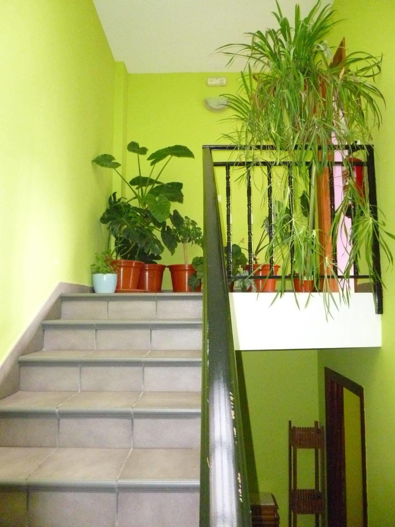 Hostal Ciudad De Нахера Экстерьер фото